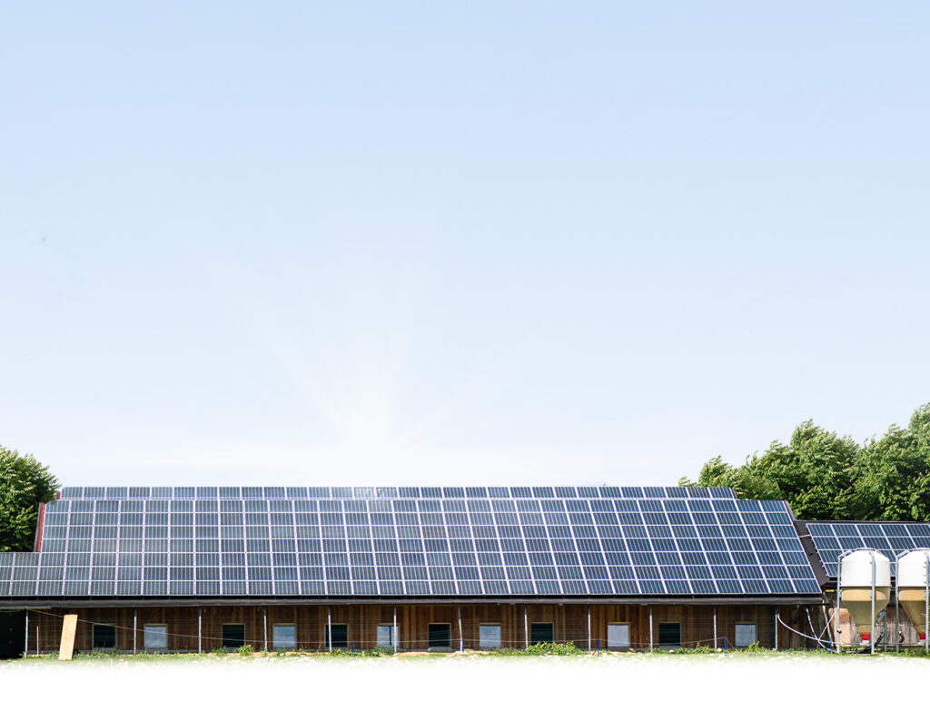 Nachhaltige Crowdinvesting-Plattform ecozins finanziert Photovoltaik-Projekt in Rekordzeit